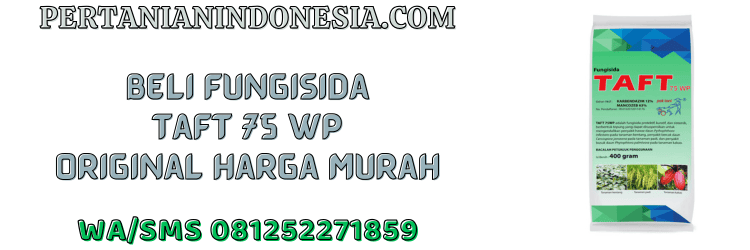 jual,murah,terjangkau,toko pertanian terdekat,pertanian indonesia